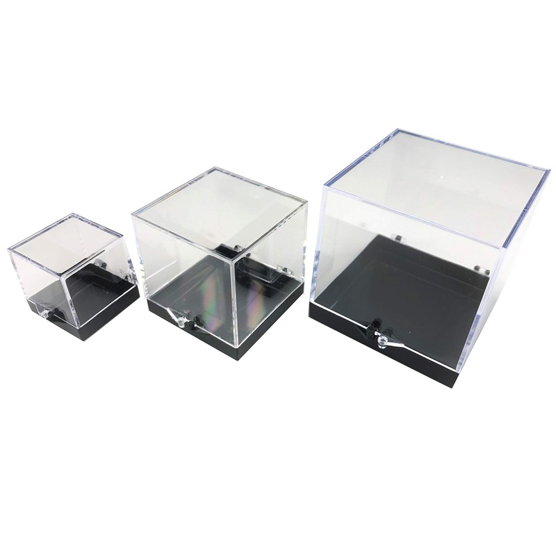 Mineral Case L Perky Case Specimen Case Storage Case Display