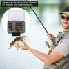 Fly Fishing Box PP Double Side Waterproof Flies Organized Storage