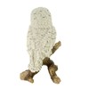 VOGLER Joh. Vogler GmbH Snow Owl Standing on Branch 21