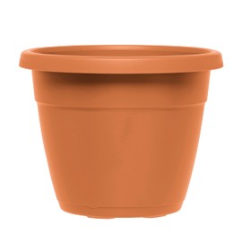 Emsa Flower Pot, Column Shape, 25cm, Light Terracotta, City, 517598Emsa Flower Pot, Column Shape, 25cm, Light Terracotta, City, 517598