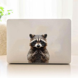 2 pcs Adorable Cute Little Raccoon Funny Car Bumper Sticker,6 Inch Vinyl Decal, Waterproof,Die-Cut for Cars,Windows,Laptops