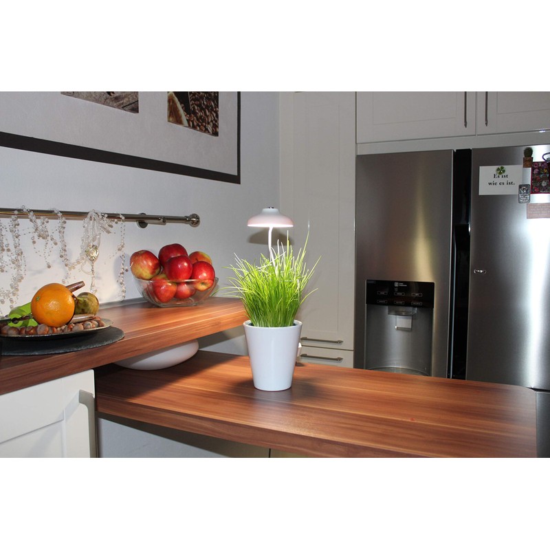 Northpoint LED 7 W Plant Light Plant Lamp Plant Lighting