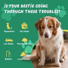 Hemyum Hemp Calming Chews for Dogs, Anxiety Relief, Sleep Calming Aid, Health & Wellness Supplements for Dog Separation Barking, Chicken Flavor, 180 Chews