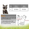 Proxima Direct Cat Harness with Lead, Escape Proof Harness Soft