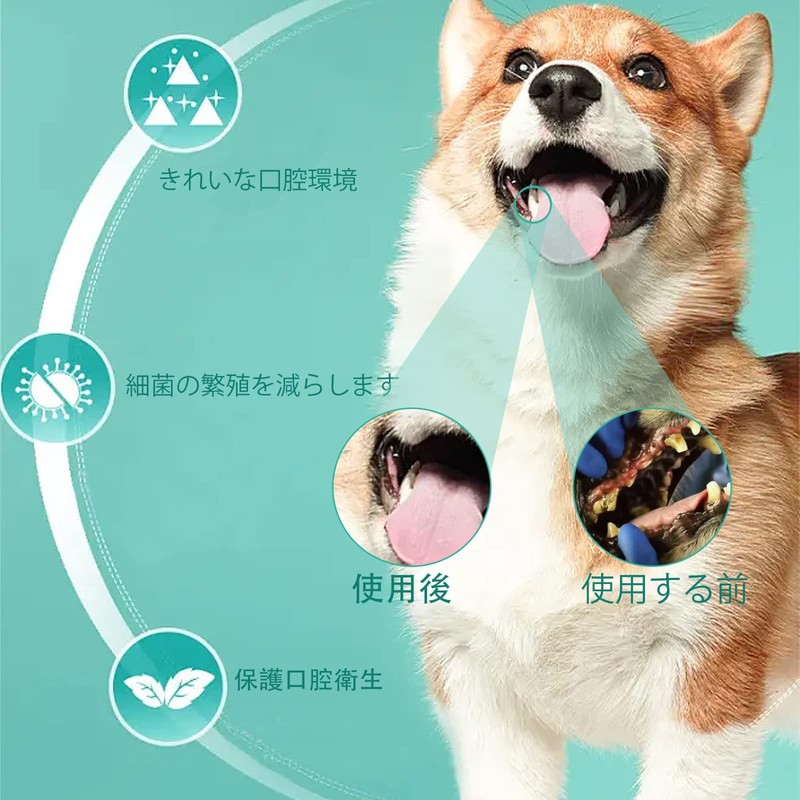 ペット用シリンジ 10本セット 12ml 猫 犬用品 給水 給食 投薬器 流動食 哺乳器