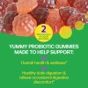 Gomitas Probióticas Prebióticas Refuerzo Inmune Uds