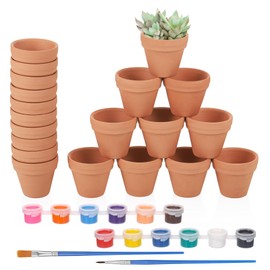 Hejo Pack of 24 Clay Pots Small, 3 x 3.5 cm Mini Flower Pots, Clay Pots for Painting with 2 Brushes and 12 Colours, You Can DIY Small Clay Pots, Terracotta Flower Pot for Indoor and Outdoor Decoration