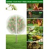 Fruit Tree Netting with Zipper - 2Pcs 8x5.3 Ft Garden