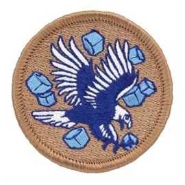 Patch Ice Hawk Embroidered Applique Iron On Patches Logo Emblem for Superb Style Caps Bags Jackets Backpacks Accessories