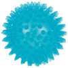Sport-Tec Reflex Ball Massage Ball Hedgehog Ball Reflex Zones Massage