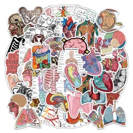 100 Pcs Organ Anatomy Stickers, Computer Notebook Stickers, Organ Stickers, Luggage Stickers, Decorative Stickers