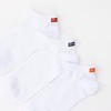 Champion CWSCZ401 3P Plain Socks, Non-Pile Logo Embroidery, Script Logo,