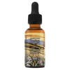 Vanilla Beard Oil – A Potent Bold Sweet Vanilla Scent