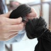 Black ponytail wig (WFIYNIB) / 똥머리 올림머리 가발 머리끈 블랙 똥머리가발 (WFIYNIB)