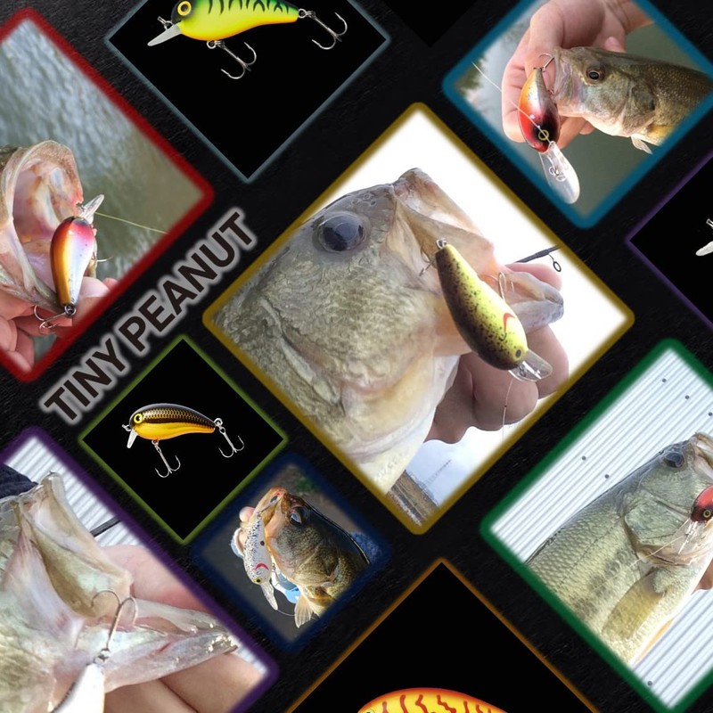 Daiwa Tiny Peanuts SSR 1.6 inches (40 mm)