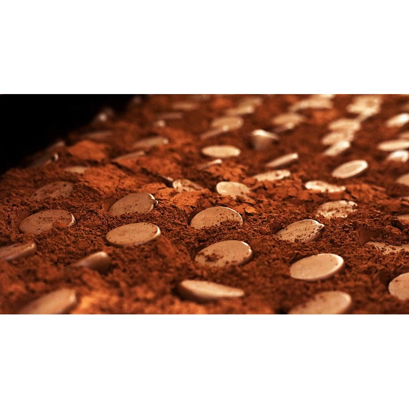 Belgian Cocoa Dusted Original Truffles 200 g