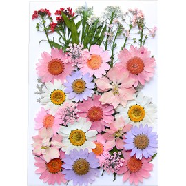 Flores Prensadas Secas para Resina, Bolsas de Flores Prensadas, Flores Secas Multiusos, Imitación de Flores Secas para DIY Resina Arte de Uñas Bodas álbumes de Recortes y más (Jardín Lolita)