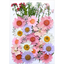 Flores Prensadas Secas para Resina, Bolsas de Flores Prensadas, Flores Secas Multiusos, Imitación de Flores Secas para DIY Resina Arte de Uñas Bodas álbumes de Recortes y más (Jardín Lolita)