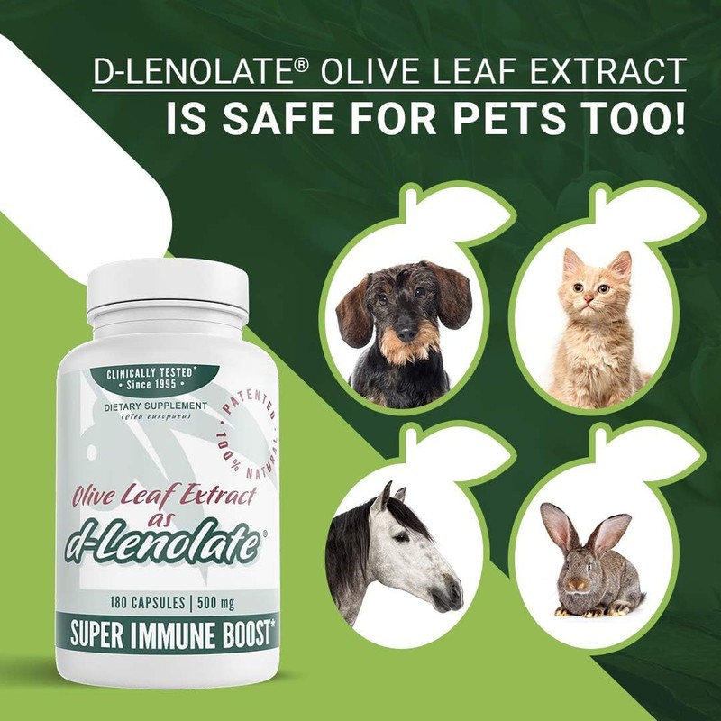 East Park Olive Leaf Extract (OLE) Super Strength d-Lenolate 500mg