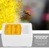 Harvest Bee Hive Beekeeping King Box Pollination Box Beekeeping Tool