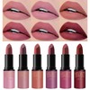 Petansy Lipstick Set 6 Colors Matte Durable Waterproof Velvet Smooth