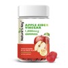 Nature's Key Apple Cider Vinegar Gummies 120 Count ACV Gummy