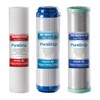 PureDrop 10 In. x 2.5 In. Standard Reverse Osmosis Replacement