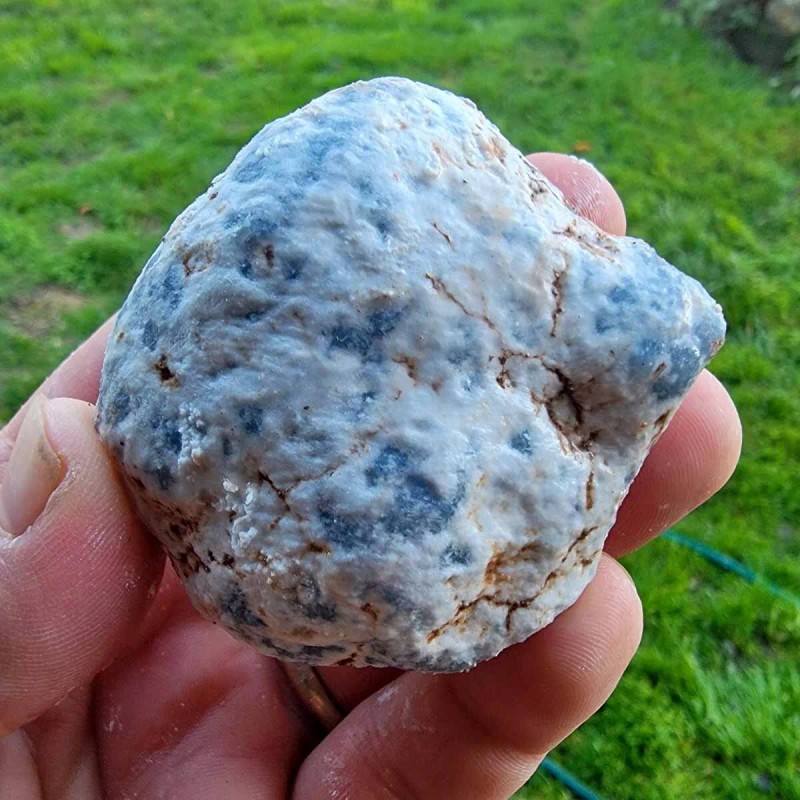 Random Pull Peruvian Angelite Cutting Rough Specimens! Lapidary Stone Material!