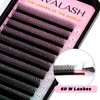 VAVALASH 6D W Shape Eyelash Extension 6D Premade Fans 0.07