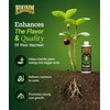 Foxfarm Bushdoctor Bembé Concentrate, Fast-Acting Liquid Plant Fertilizer, Enhances Natural