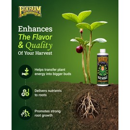Foxfarm Bushdoctor Bembé Concentrate, Fast-Acting Liquid Plant Fertilizer, Enhances Natural Sugars for Sweetness and Flavor - Easy Absorption for Soil, Containers, and Hydroponics- NPK 0-1-3 (Pint)