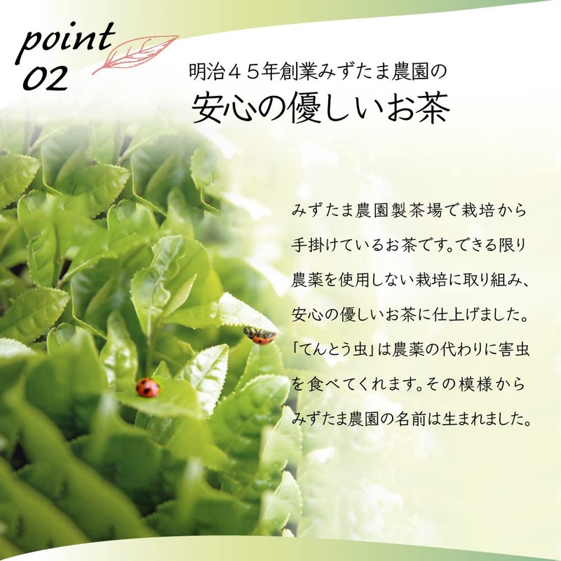 Mizutama Farm Tea House Powdered Japanese Black Tea 50g