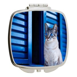 Island Gifting - Tabby Cat - Grey Stripe on Bright Blue Wood Shutters - Square Compact Mirror - Travel Mirror