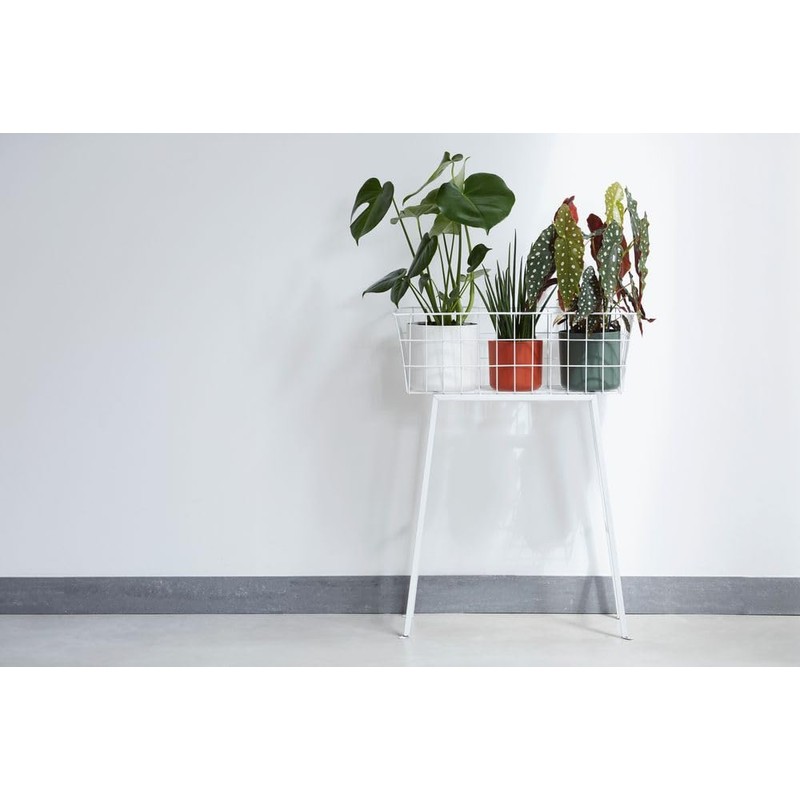 Elho B.for Soft Flower Pot