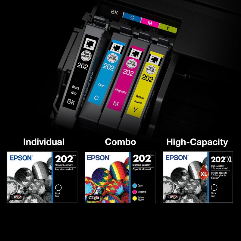 EPSON 202 Claria Ink High Capacity Black & Standard Color