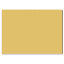 Plain Blank Vehicle Deal Envelopes 9x12 Deal Jackets (100 shrink wrapped) (Buff)