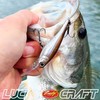 Lucky Craft Baby Shad 50SP Regular Type (0003 Wakasagi)