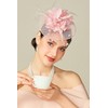 BABEYOND Fascinators Hats for Women - Tea Party Kentucky Fascinator