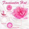 ONEPEACE Fascinators Hats for Women - Perfect for Tea Parties,