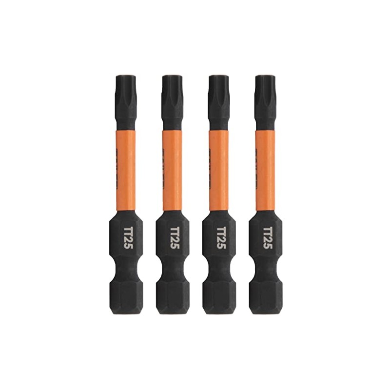 Railer T25 Tamper Proof Bits - 4 Pack, 2 Inch,