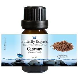 Caraway Essential Oil 10ml - 100% Pure by Butterfly Express