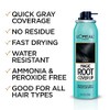 L'Oreal Paris Hair Color Root Cover Up Hair Dye Black