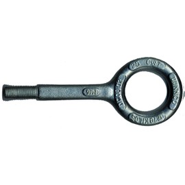 fischer M16 Scaffold Anchor, 53mm Eye, 1 Piece, 42896