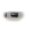 kenable Mini-DisplayPort/Thunderbolt Plug to DVI-D 24+4 Socket Adapter