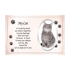 OnlineStreet Glass Frame My Pet Memorial Picture Frame with Sentimental Word and Paw Designs | Remembrance Photo Frame | My Pet Memory 10x15 cm (My Cat)