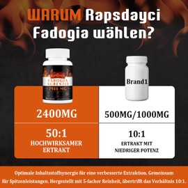 Rapsdayci Fadogia Agrestis, 2400 mg, Highly Effective 50:1 Extract, Powerful Fadogia Agrestis Supplement for Endurance, Power, Drive and Performance (Pack of 60)