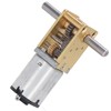 Double Shaft Worm Gear Motor DC12V 381RPM Micro DC Gear