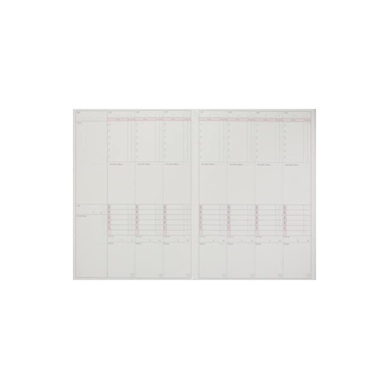 Sunstar S2638568 Stadium Run Notebook, B5, 1 Week, Miorin, Study
