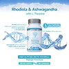 swiss bioenergetics Rhodiola & Ashwagandha with L-Theanine - Award Winning
