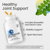 UltraCur Advanced Joint Support Supplement with High Absorption Curcumin -